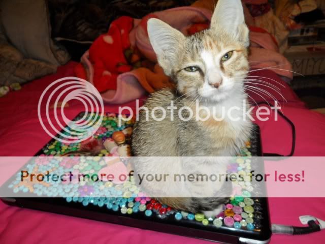 SAM_7007.jpg