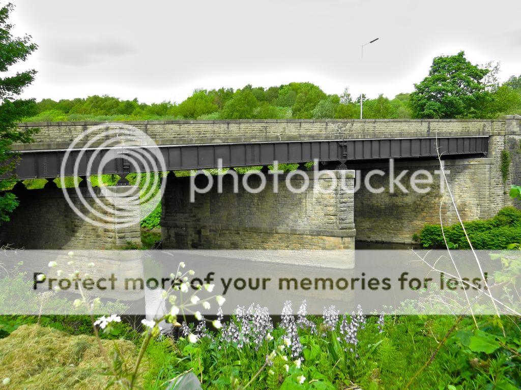 IMAGE: http://i326.photobucket.com/albums/k424/BlueRotkeV/ringley.jpg