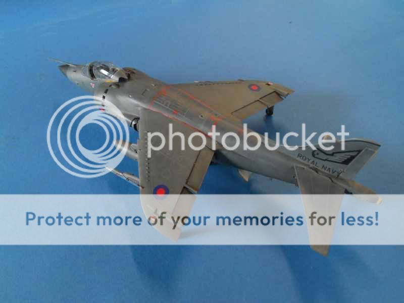 photo X1031_zpsvbqdtavm.jpg