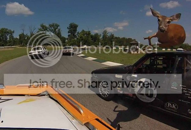 [Image: null_zps0ef4c7b6.jpg]