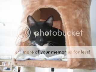 Bild011.jpg