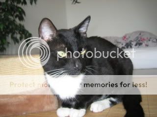 Bild019.jpg