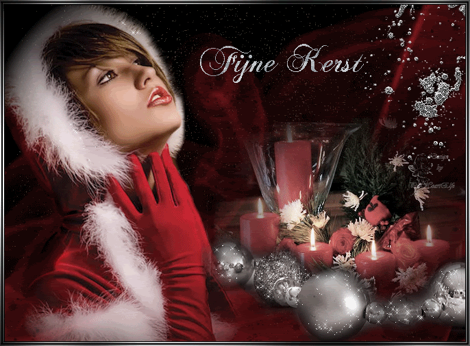 [img width=686 height=505]http://i326.photobucket.com/albums/k440/schneckenikki71/animationen/Fijne_Kerst.gif[/img]